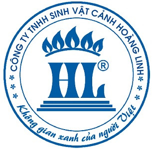 Kỹ Sư Xây Dựng (Lương 10-20 Triệu) – Công Ty TNHH Sinh Vật Cảnh Hoàng Linh